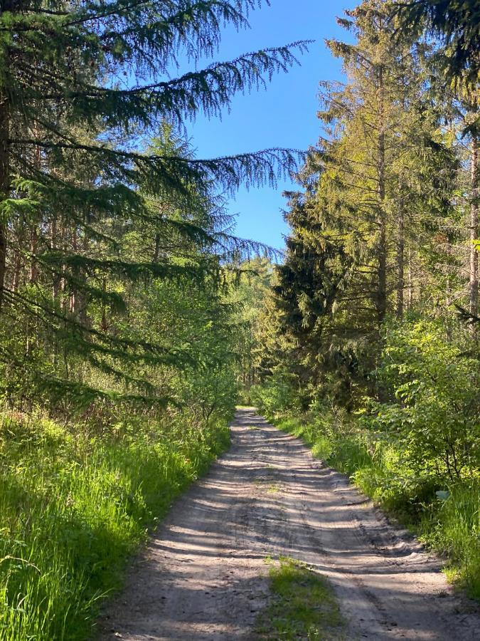 Siedlisko Wytowno Villa Ustka Bagian luar foto