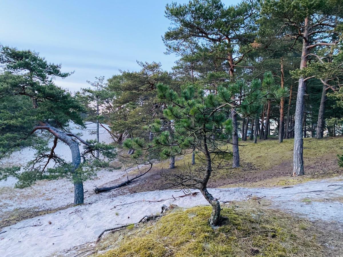 Siedlisko Wytowno Villa Ustka Bagian luar foto