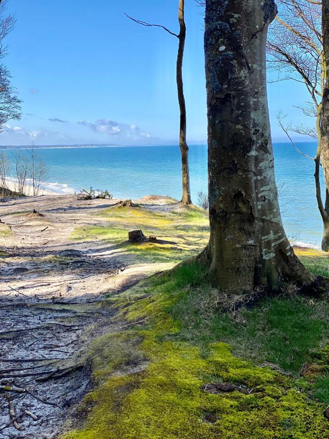 Siedlisko Wytowno Villa Ustka Bagian luar foto